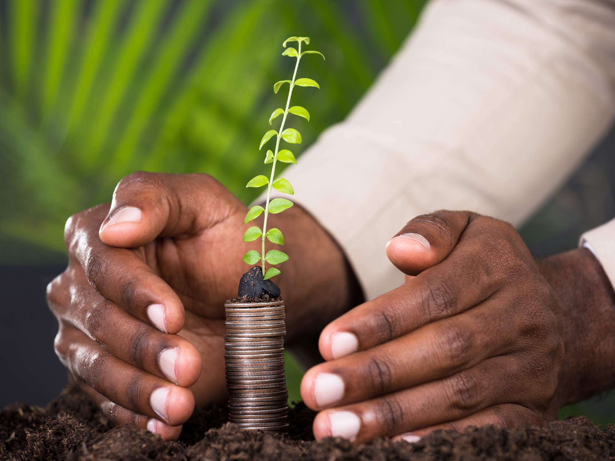 An investor reviewing steady portfolio growth